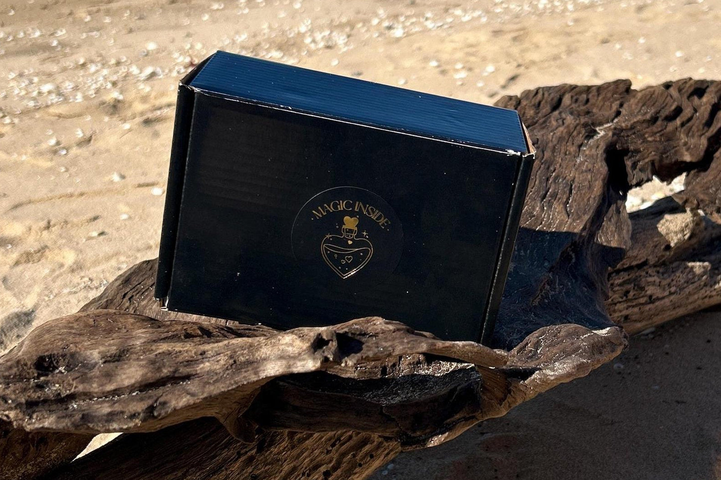 Black box with a logo on a piece of driftwood on a sandy beach with ocean and mountains in the background.