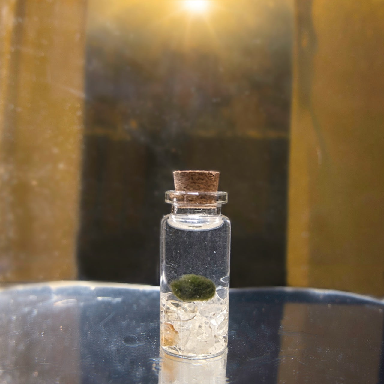Small glass bottle with cork lid containing a small marimo moss ball with citrine chips on a reflective surface.