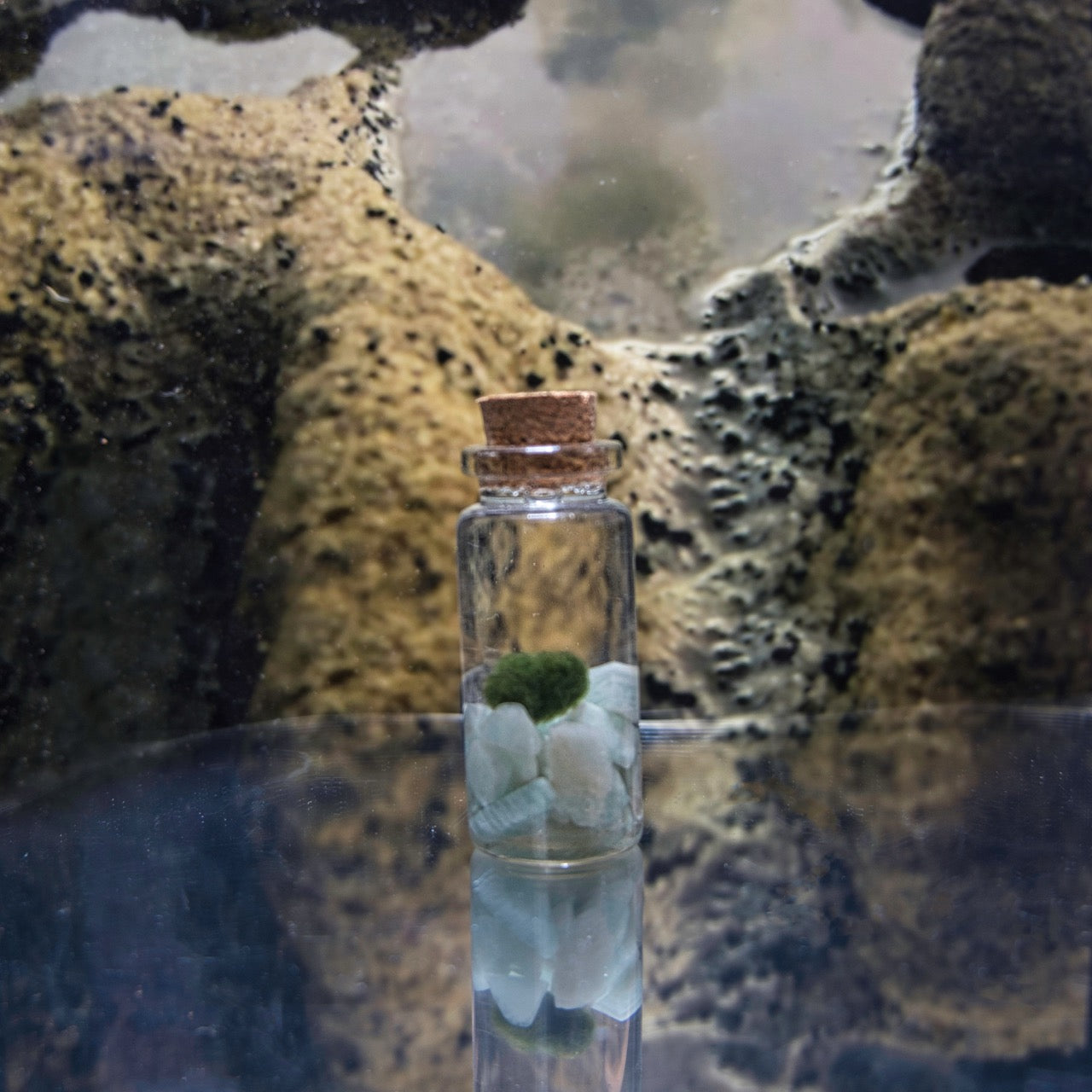 Amazonite Baby Moonling – Mini Moss Ball Pet | Truth & Calm Direction