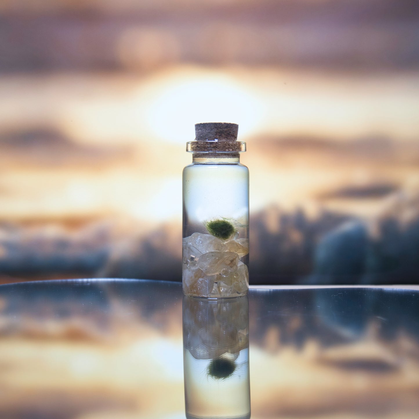 Citrine Baby Moonling — Mini Moss Ball Pet | Joy & Abundance