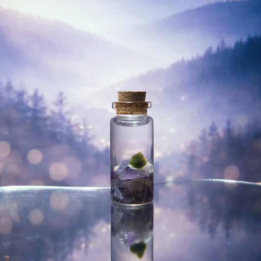 A marimo moss ball cradled in amethyst crystals inside a corked glass jar, glowing softly against a misty forest hillside