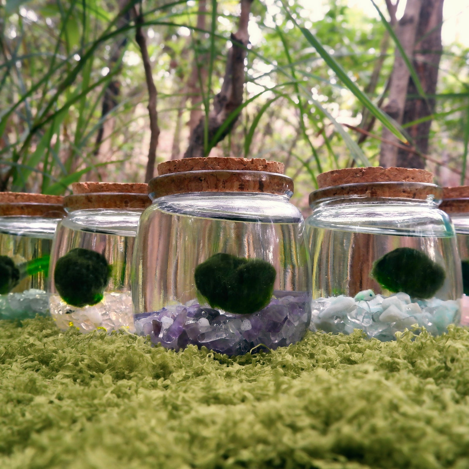 Moss Moonlings