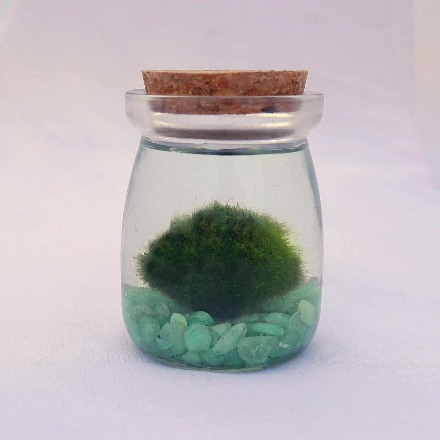 Glass jar with cork lid containing green marimo moss ball and small green aventurine stones on a white background