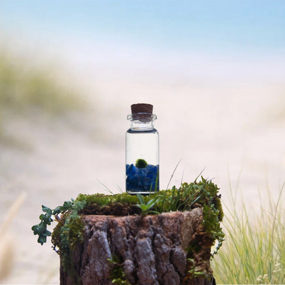 Sodalite Baby Moonling – Mini Moss Ball Pet | Truth & Inner Clarity
