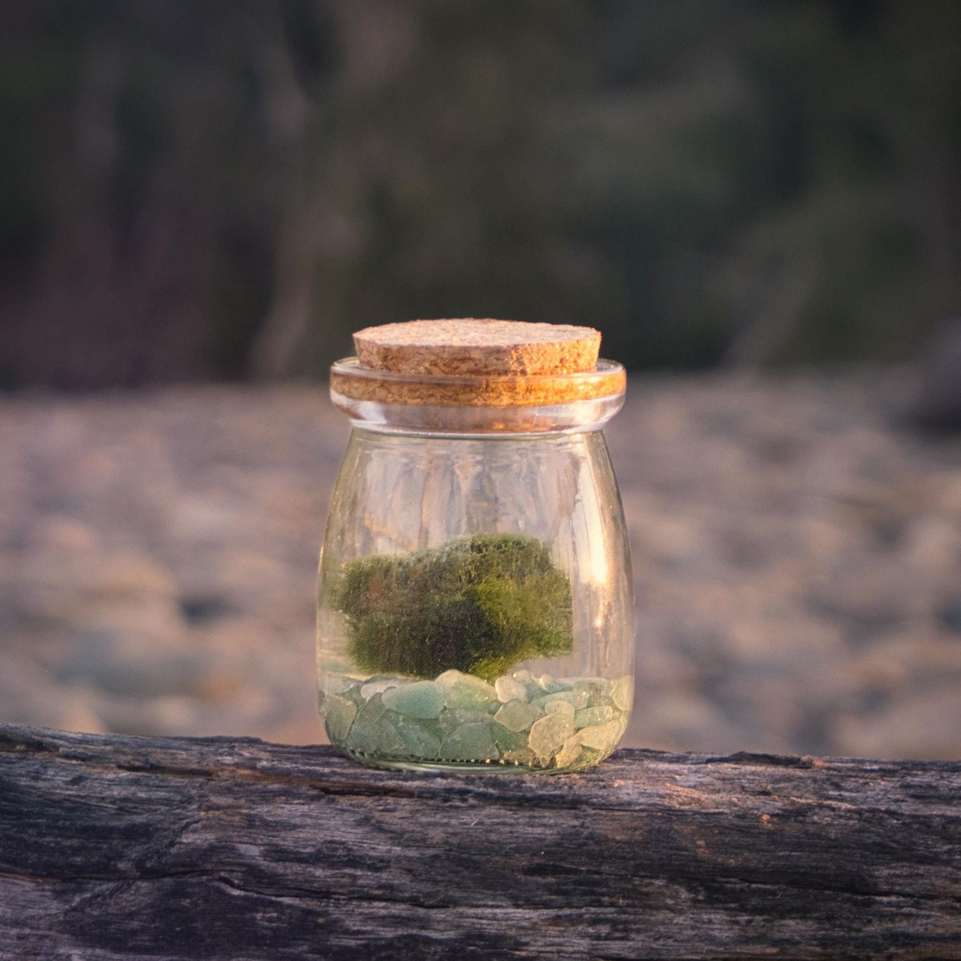 Glass jar with cork lid containing green marimo moss ball and green aventurine stones on a wooden surface with a blurred natural background