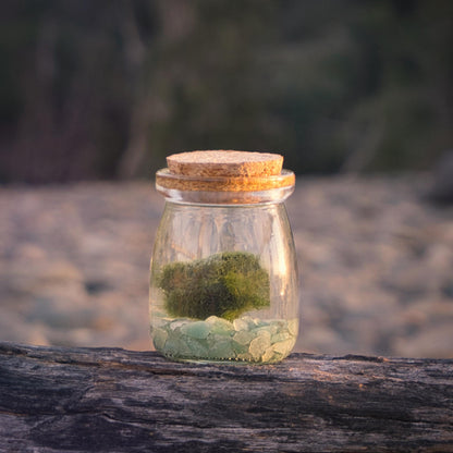 Glass jar with cork lid containing green marimo moss ball and green aventurine stones on a wooden surface with a blurred natural background