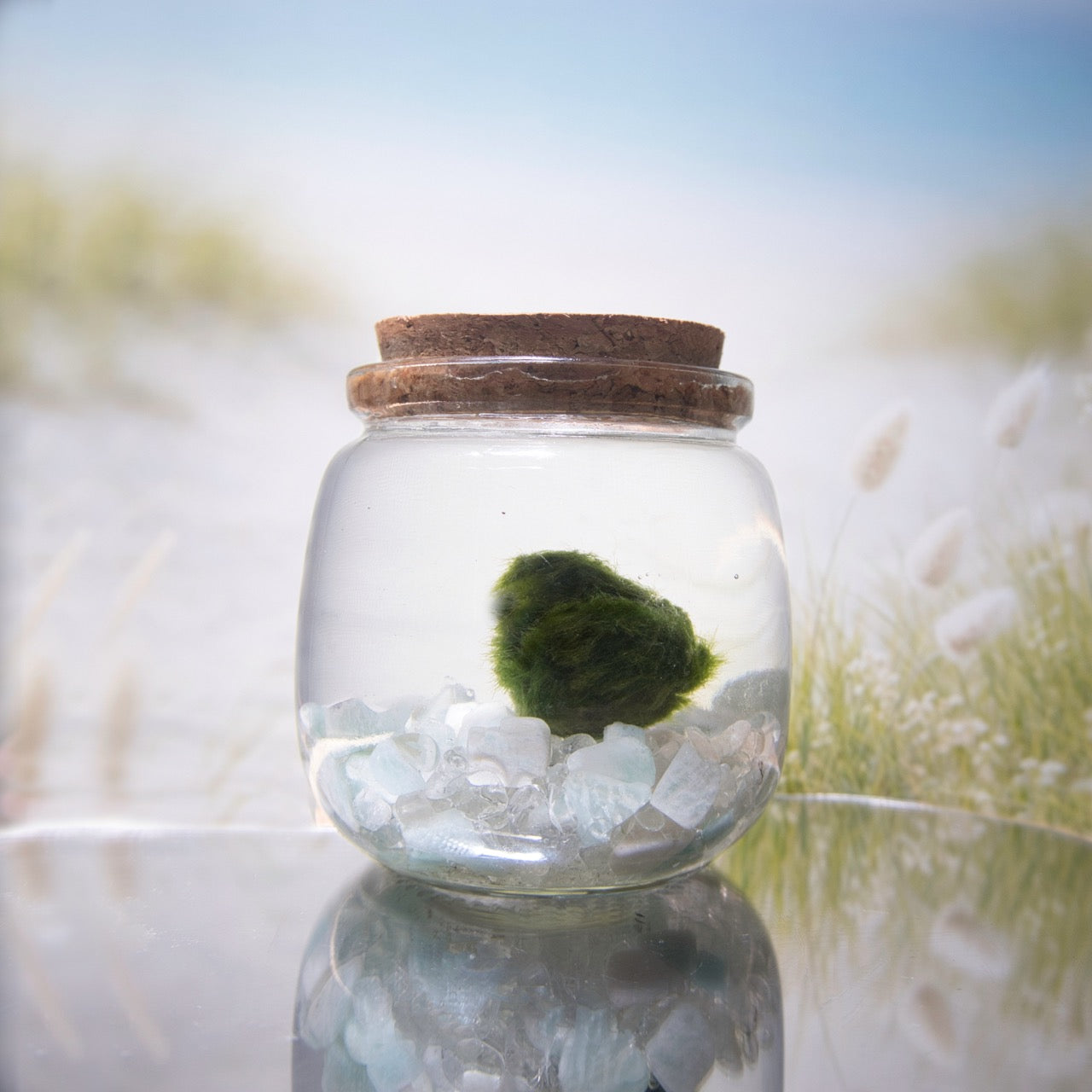 Amazonite Wayfinder Moonling – Moss Ball Pet for Boundaries and Calm Courage