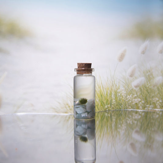 Amazonite Baby Moonling – Mini Moss Ball Pet | Truth & Calm Direction