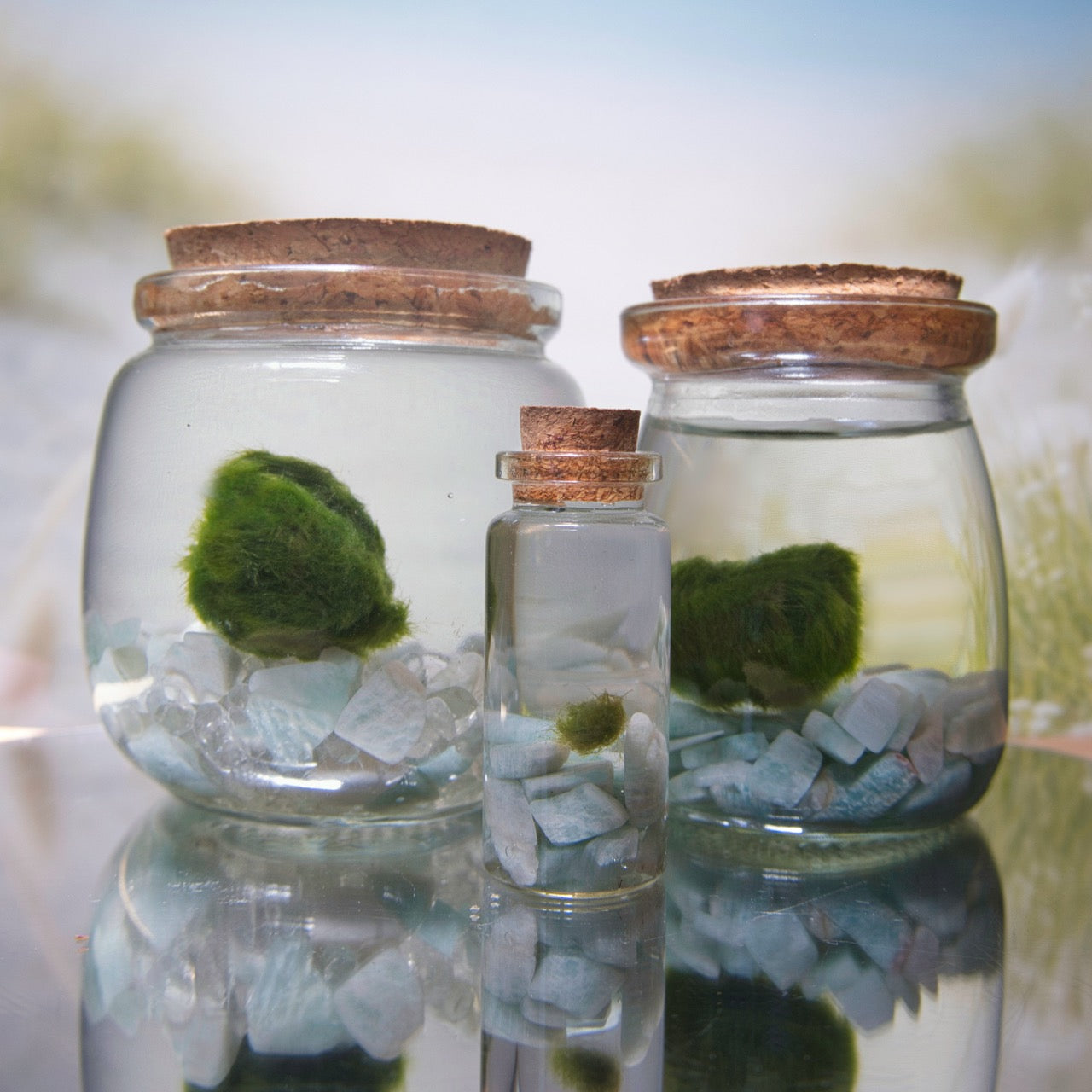 Amazonite Wayfinder Moonling – Moss Ball Pet for Boundaries and Calm Courage