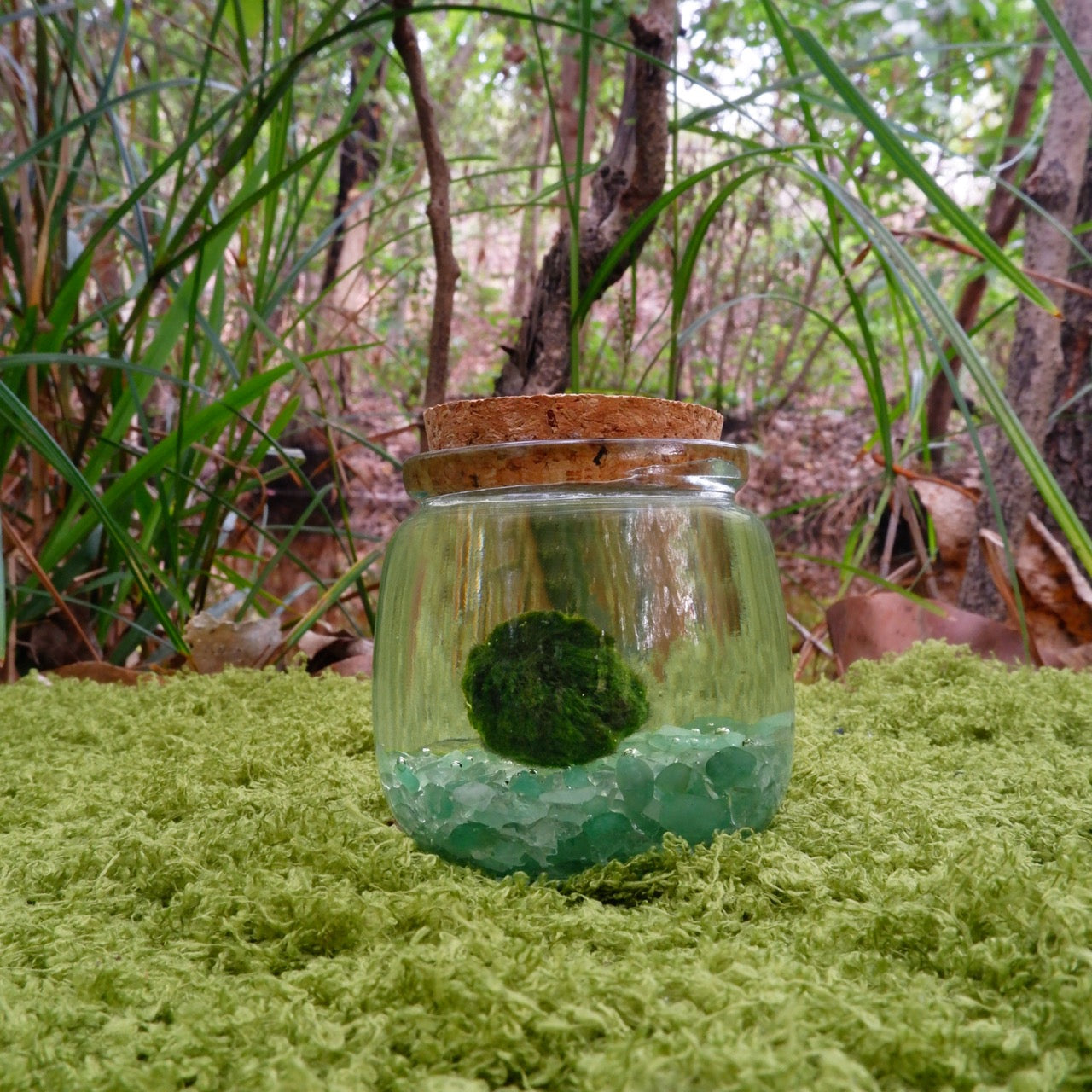 Green Aventurine Lucky Moonling – Moss Ball Pet for Luck and Growth