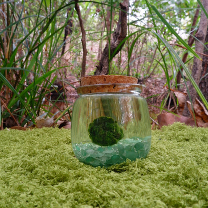 Green Aventurine Lucky Moonling – Moss Ball Pet for Luck and Growth