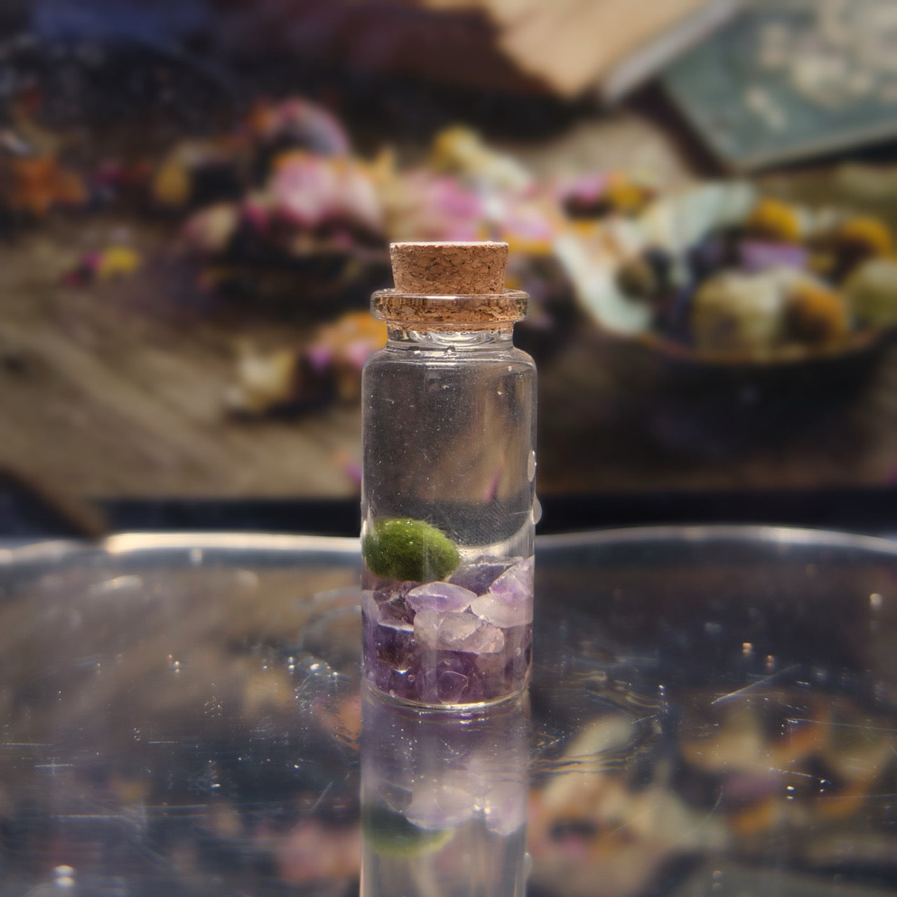 The Dream Moonling showcased with a small glass bottle with cork lid containing amethyst crystals and a green marimo moss ball plant, placed on a reflective surface with a blurred natural background.