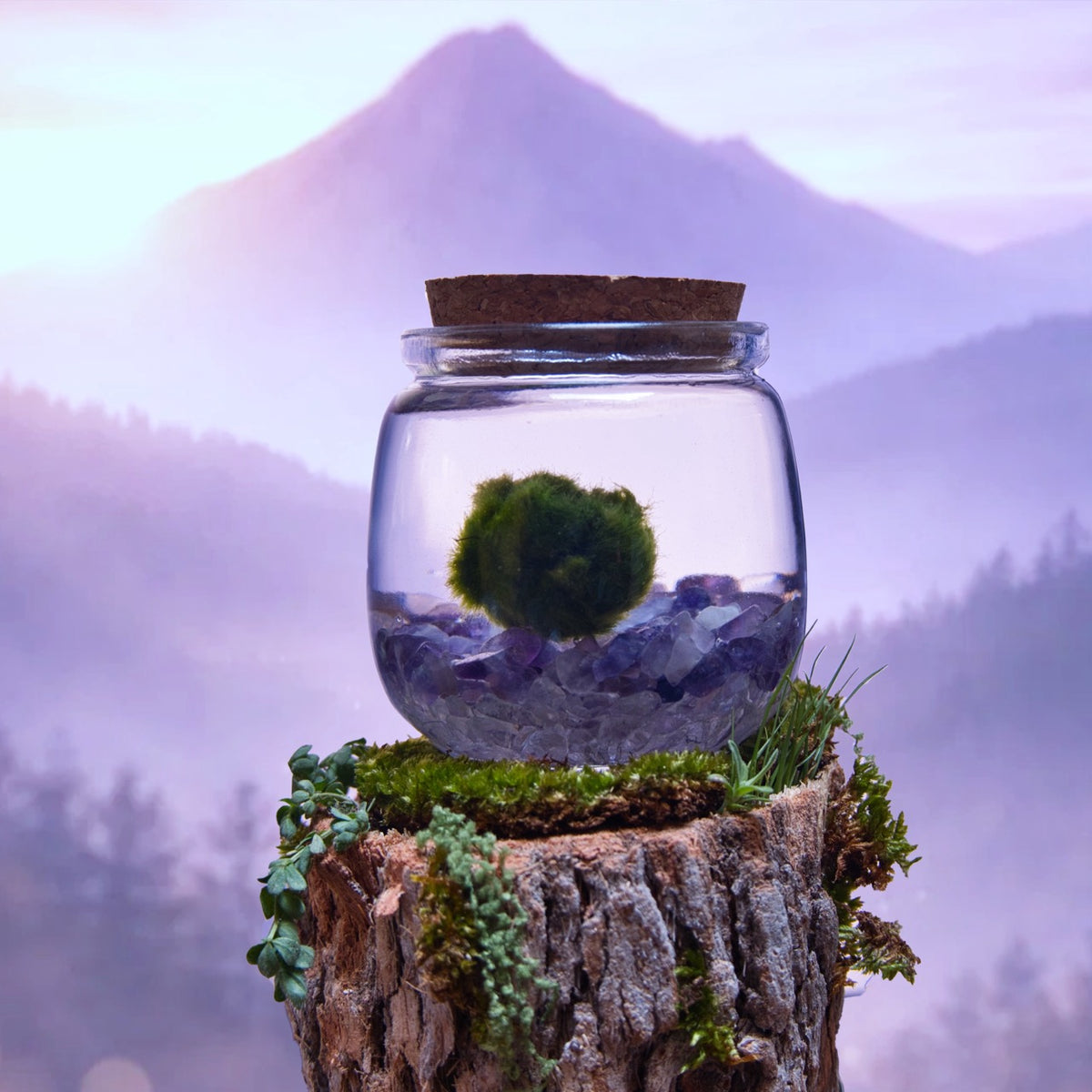 Amethyst Dream Moonling – Moss Ball Pet for Calm and Clarity