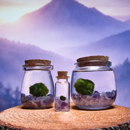 Amethyst Baby Moonling — Mini Moss Ball Pet | Calm & Sleep