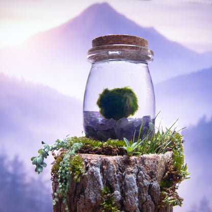 Amethyst Dream Moonling – Moss Ball Pet for Calm and Clarity