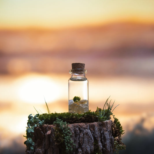 Citrine Baby Moonling — Mini Moss Ball Pet | Joy & Abundance