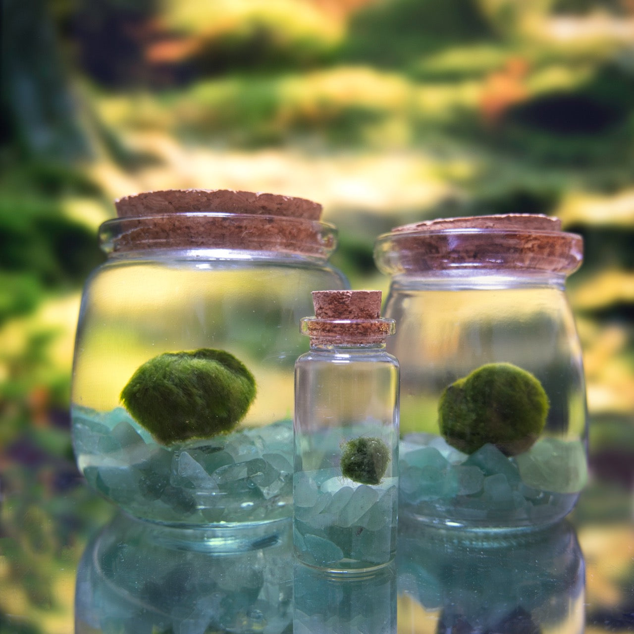 Green Aventurine Lucky Moonling – Moss Ball Pet for Luck and Growth