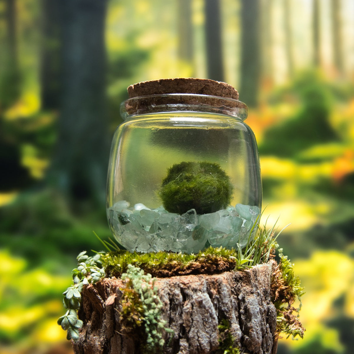 Green Aventurine Lucky Moonling – Moss Ball Pet for Luck and Growth