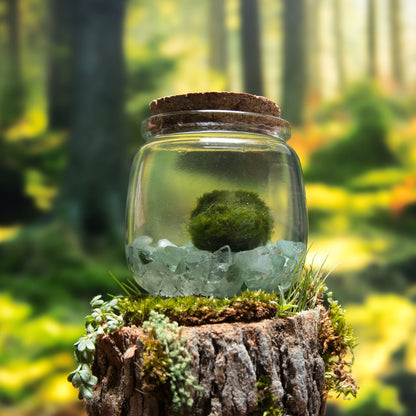 Green Aventurine Lucky Moonling – Moss Ball Pet for Luck and Growth