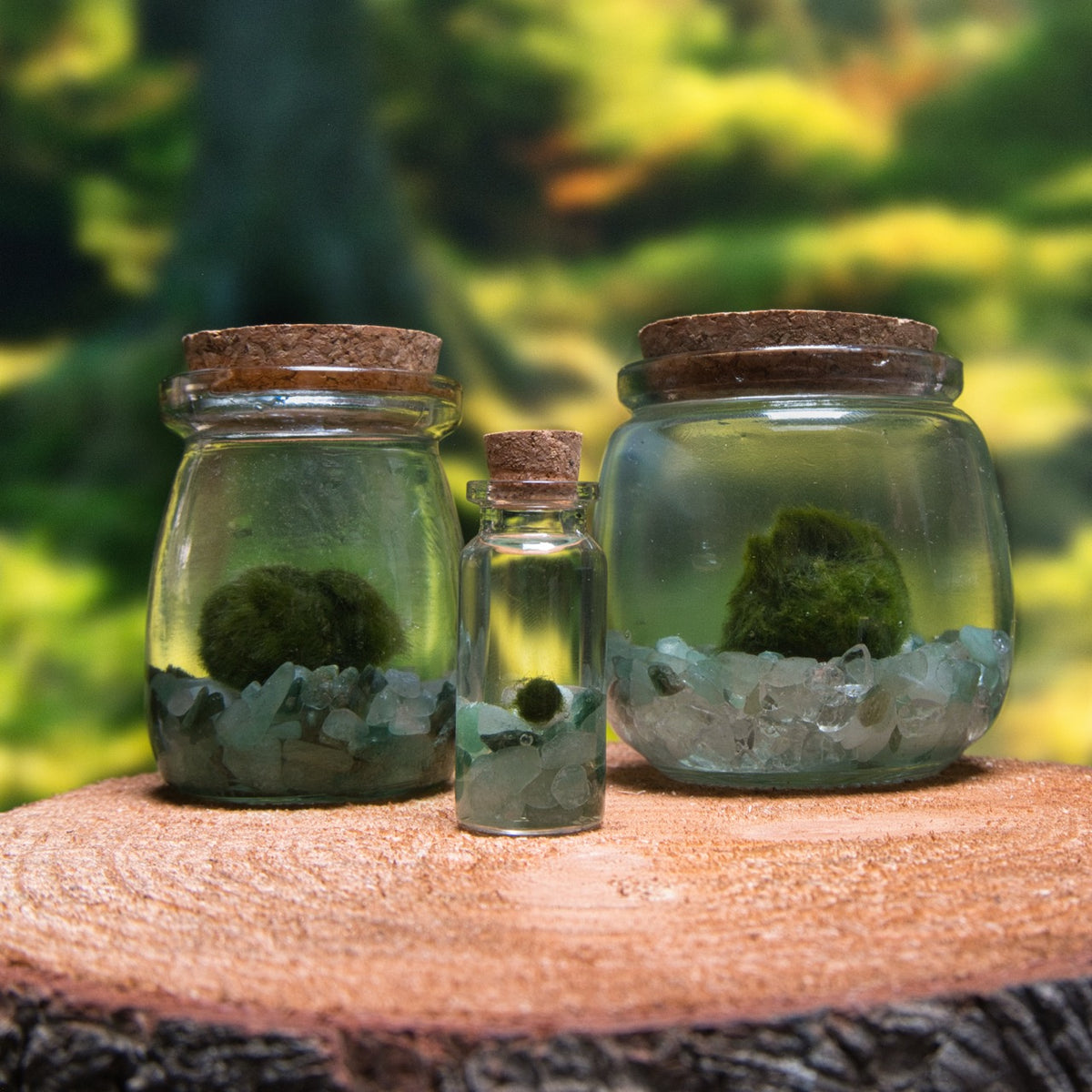 Green Aventurine Lucky Moonling – Moss Ball Pet for Luck and Growth