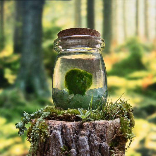 Green Aventurine Lucky Moonling – Moss Ball Pet for Luck and Growth