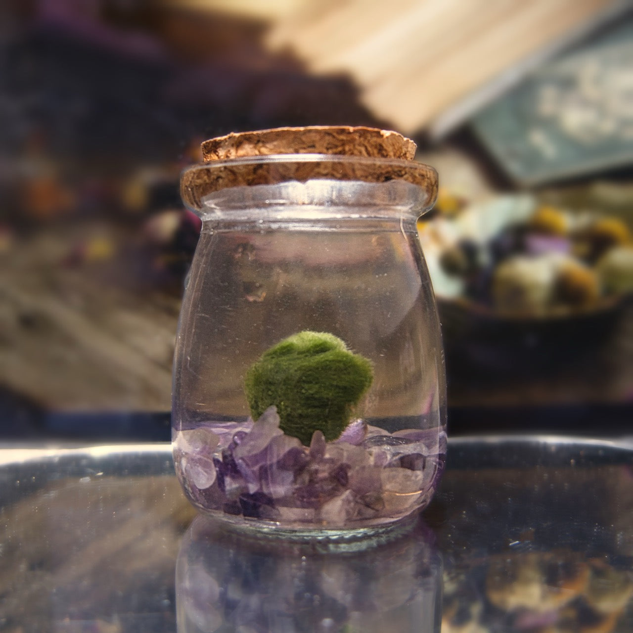 The Original Moonling showcased with glass jar with a cork lid containing green  marimo moss ball and purple  amethyst crystals on a reflective surface.