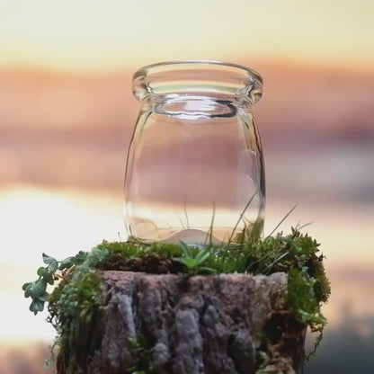 Citrine Golden Moonling – Moss Ball Pet for Joy and Abundance