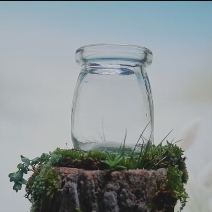 Sodalite Wayfinder Moonling – Moss Ball Pet for Truth and Steady Direction