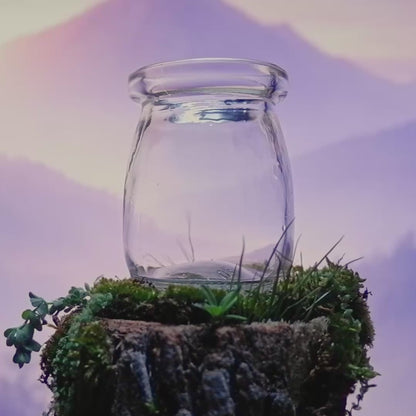 Amethyst Dream Moonling – Moss Ball Pet for Calm and Clarity