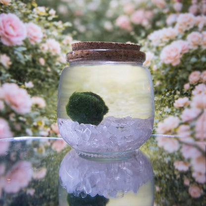 Rose Quartz Heart Moonling – Moss Ball Pet for Love and Harmony