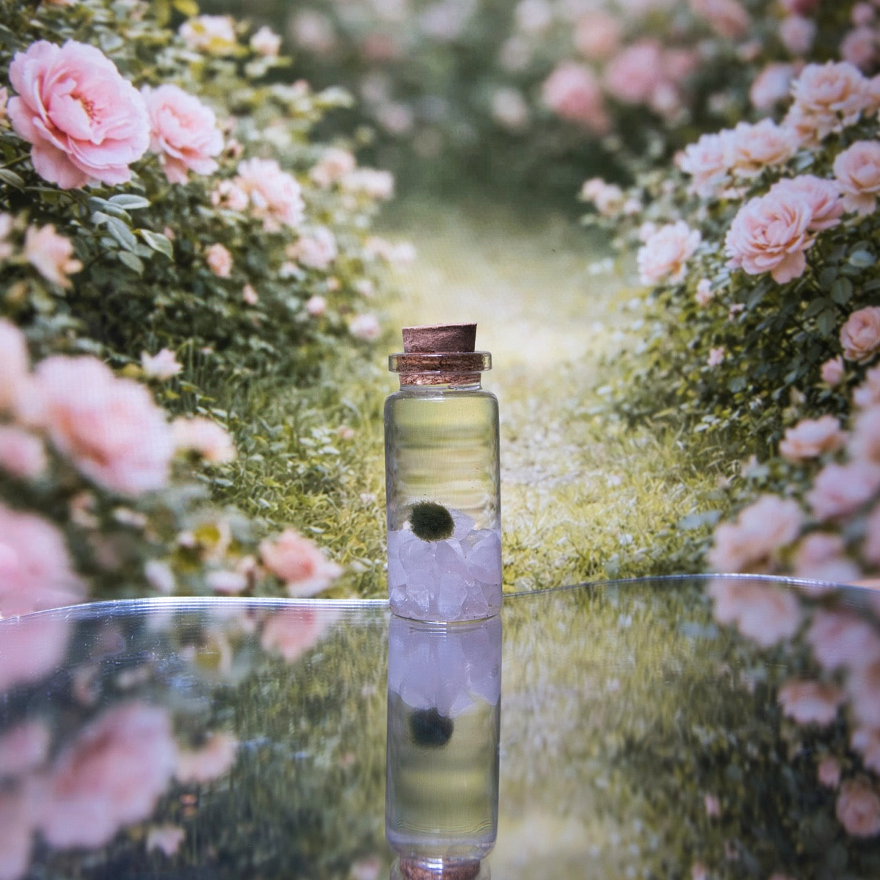 Rose Quartz Baby Moonling — Mini Moss Ball Pet | Love & Gentleness
