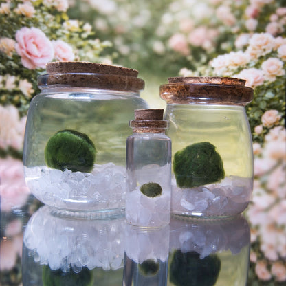 Rose Quartz Heart Moonling – Moss Ball Pet for Love and Harmony